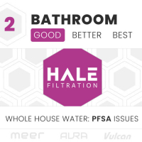 2 BATH: PFSA Issues (Good)